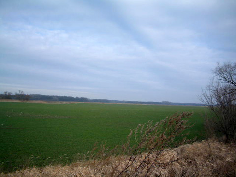 Foto 66